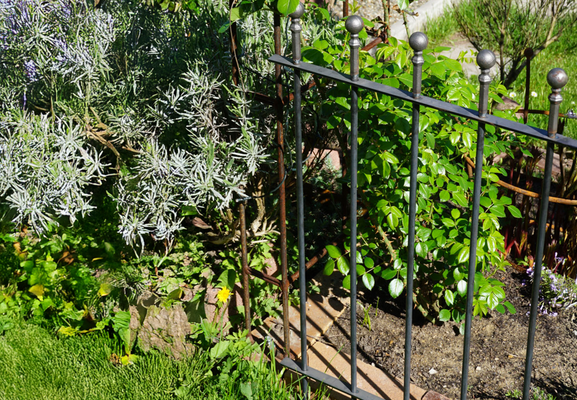 Steckzaun im Garten – Vorteile, Einsatzmöglichkeiten und Grenzen