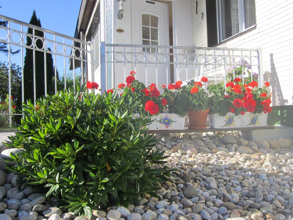 Geländer Belluno hinter Pflanzkästen mit roten Blumen montiert | Feuerverzinkt